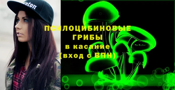 герыч Алексин