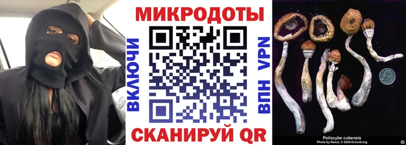 мега зеркало  Ревда  Галлюциногенные грибы Magic Shrooms 